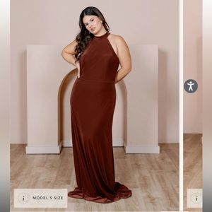 Revelry Tori Velvet Terracotta Dress